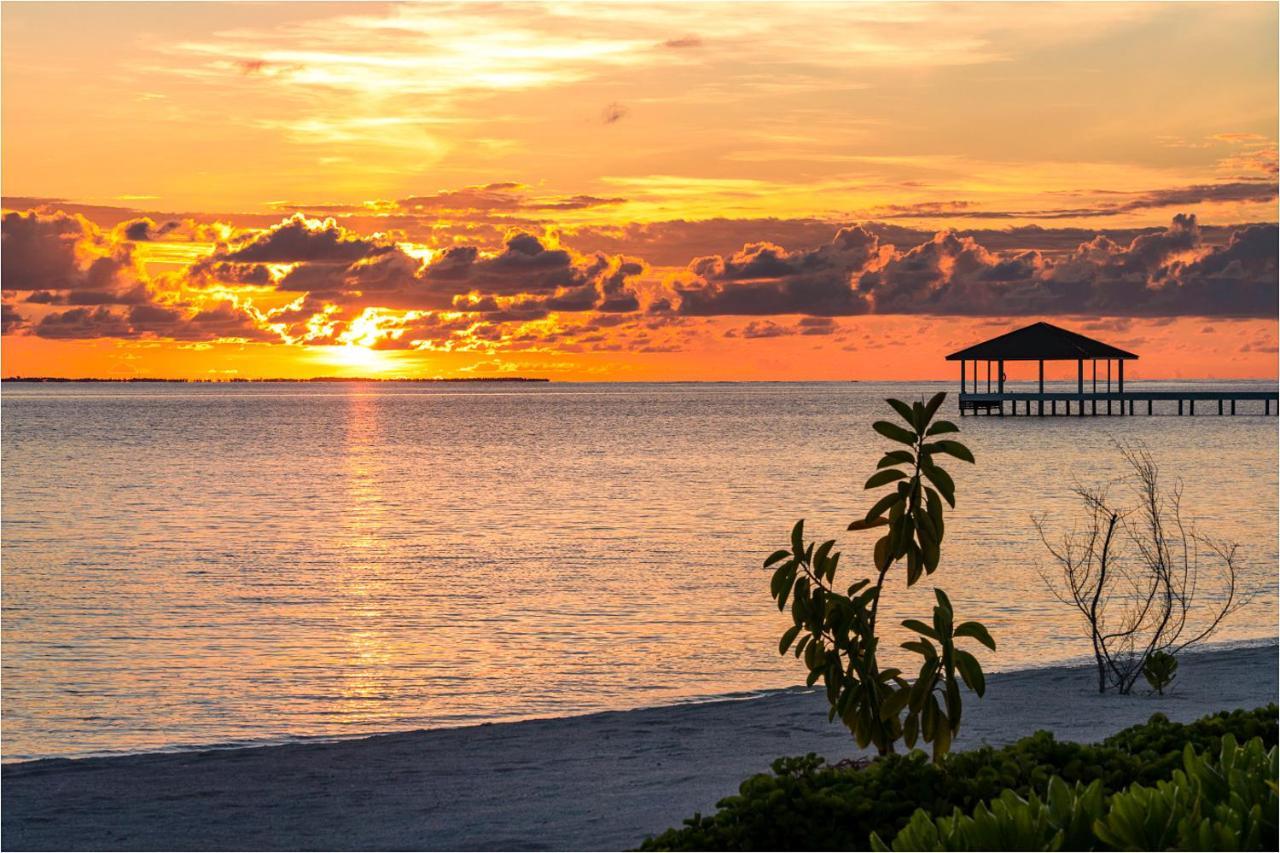 South Palm Resort Maldives With First-Ever Floating Spa Атолл Адду Экстерьер фото